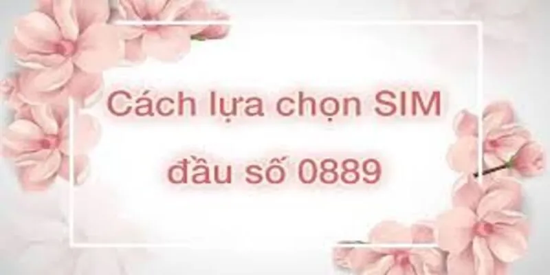 0889 là mạng gì? Ý nghĩa phong thủy cực bất ngờ