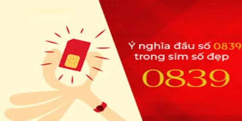 0839 là mạng gì? Tìm hiểu ý nghĩa phong thủy đặc biệt